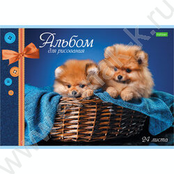 Альбом д/рисования 24л "Ассорти" | Фото 2