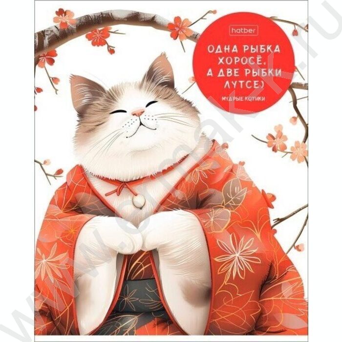 Тетрадь  48л клетка "Мудрые котики" 5видов | Фото 1