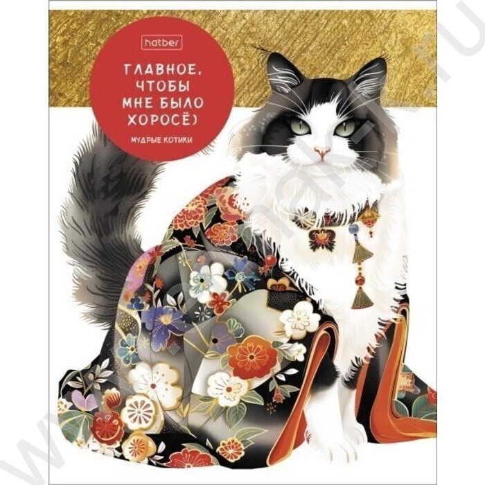 Тетрадь  48л клетка "Мудрые котики" 5видов | Фото 4