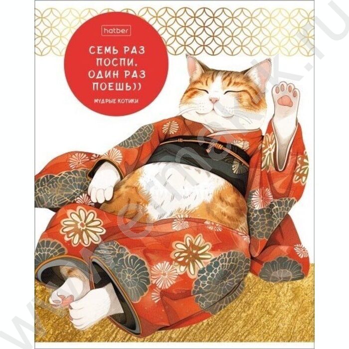 Тетрадь  48л клетка "Мудрые котики" 5видов | Фото 5