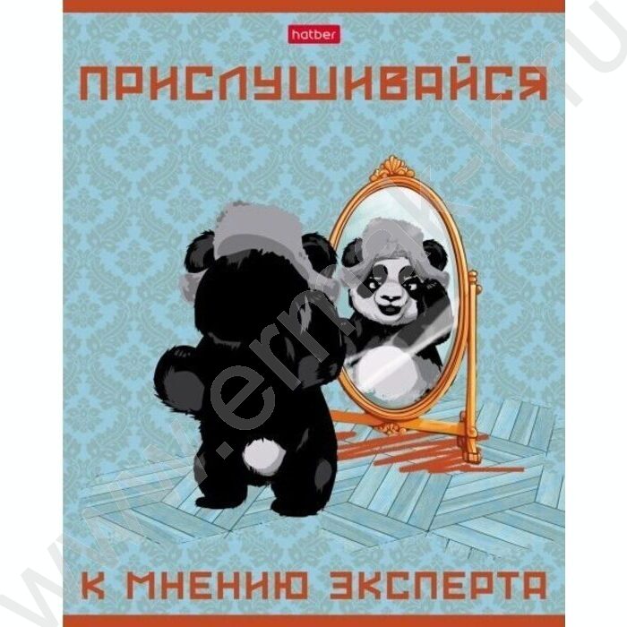 Тетрадь  48л клетка "Мудрая панда" 5видов | Фото 2