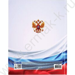 Дневник 1-11кл. /тв.обл. "Российского школьника-4" /ламинация | Фото 8