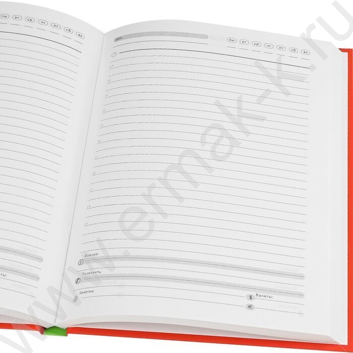 Ежедневник н/дат А5 128л Делу время /тв.обл.,софт-тач однотонный/ | Фото 3