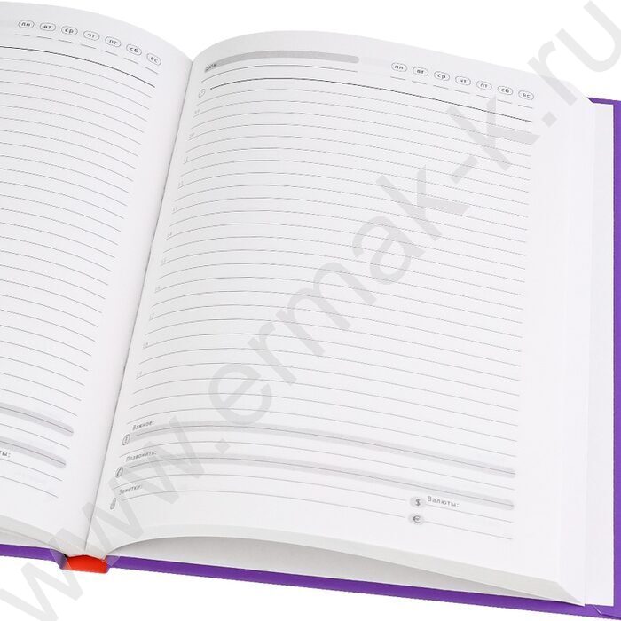 Ежедневник н/дат А5 128л Никогда не сдавайся /тв.обл.,софт-тач однотонный/ | Фото 3