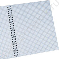 Тетрадь  48л клетка/спираль "Кроссовер в дикой природе" ассорти | Фото 6