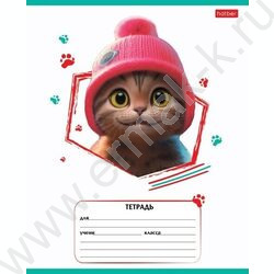 Тетрадь  12л линейка "Мы-котики!" ассорти | Фото 1