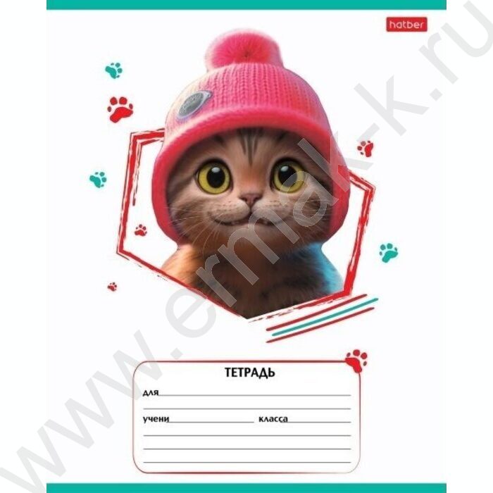 Тетрадь  12л линейка "Мы-котики!" ассорти | Фото 1