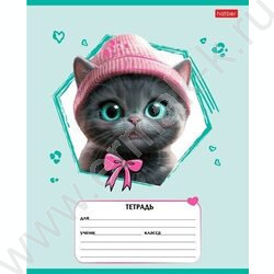 Тетрадь  12л линейка "Мы-котики!" ассорти | Фото 2