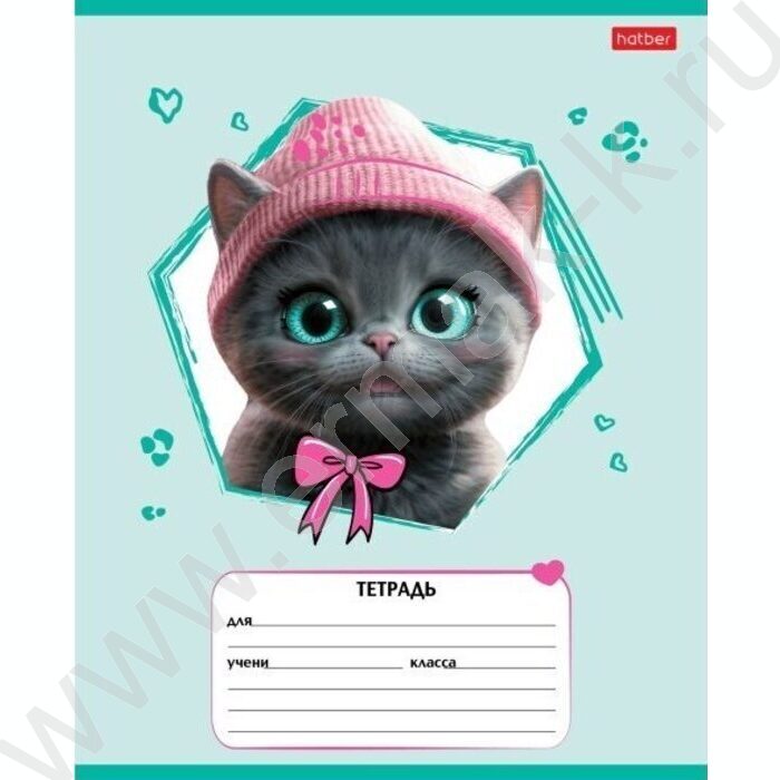 Тетрадь  12л линейка "Мы-котики!" ассорти | Фото 2