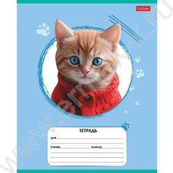 Тетрадь  12л линейка "Мы-котики!" ассорти | Фото 3