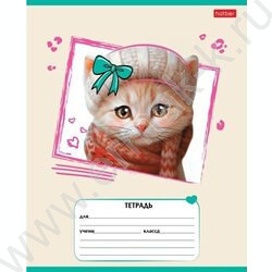 Тетрадь  12л линейка "Мы-котики!" ассорти | Фото 4