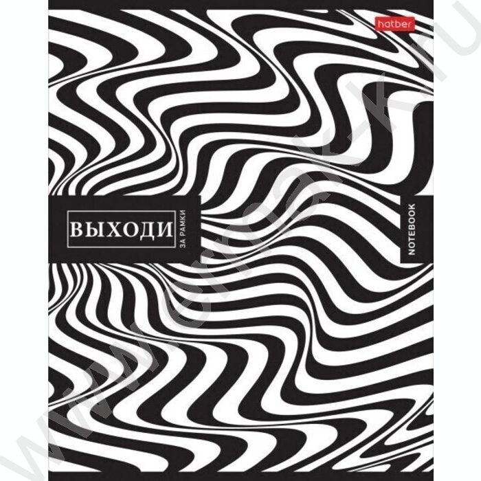 Тетрадь  48л клетка/пластик обл. "Monochrome" ассорти | Фото 1