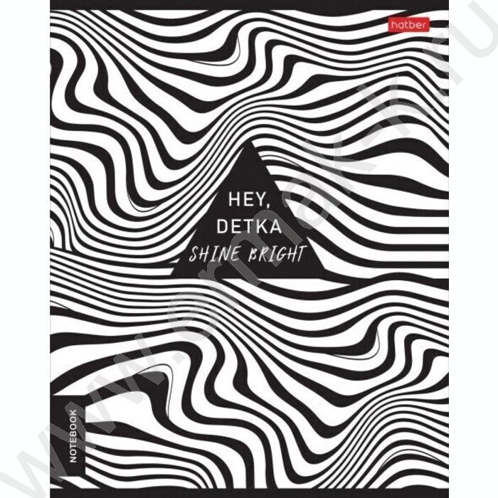 Тетрадь  48л клетка/пластик обл. "Monochrome" ассорти | Фото 3