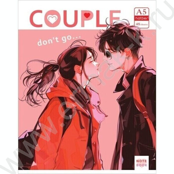 Тетрадь  48л клетка/пластик обл. "Альфа парочка" ассорти | Фото 1