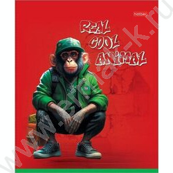 Тетрадь  48л клетка/пластик обл. "COOL Animals" ассорти | Фото 1