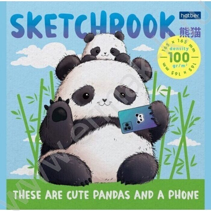 Скетчбук  40л А5 "Плюшевые панды" без линовки 100г/кв.м | Фото 1