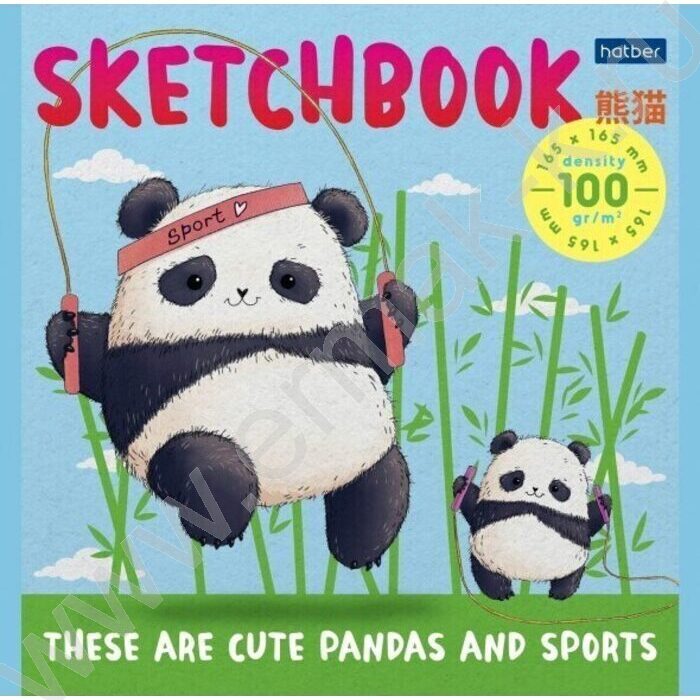 Скетчбук  40л А5 "Плюшевые панды" без линовки 100г/кв.м | Фото 3