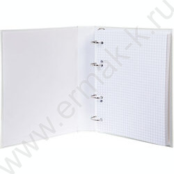 Тетрадь  80л А5 клетка/кольца /глянц.лам/  "NEWtone NEON Оранж" | Фото 2