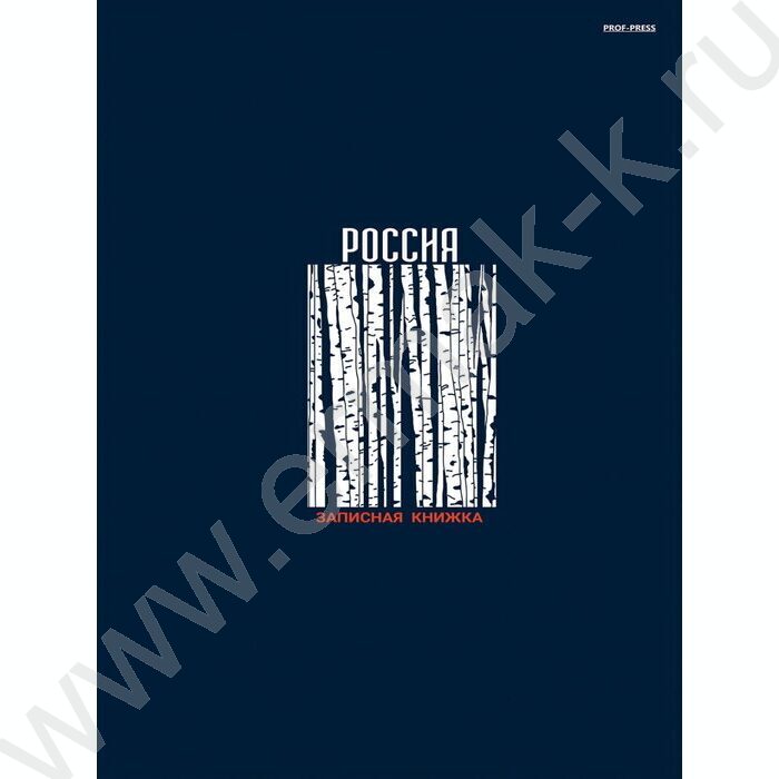 Зап. книжка 120л А4 тв.обл. "Берёзы" /глянец/ | Фото 1