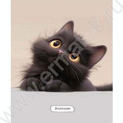 Блокнот  40л А6 спираль "Маленький пушистый кот" ассорти | Фото 5