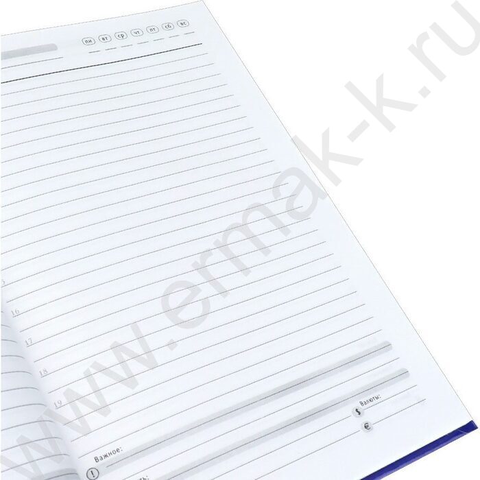 Ежедневник н/дат А5 128л Символы государства-1 /тв.обл.,глянц.ламин/ | Фото 4