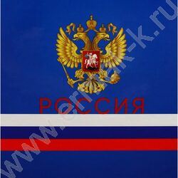 Ежедневник н/дат А5 128л Символы государства-1 /тв.обл.,глянц.ламин/ | Фото 8