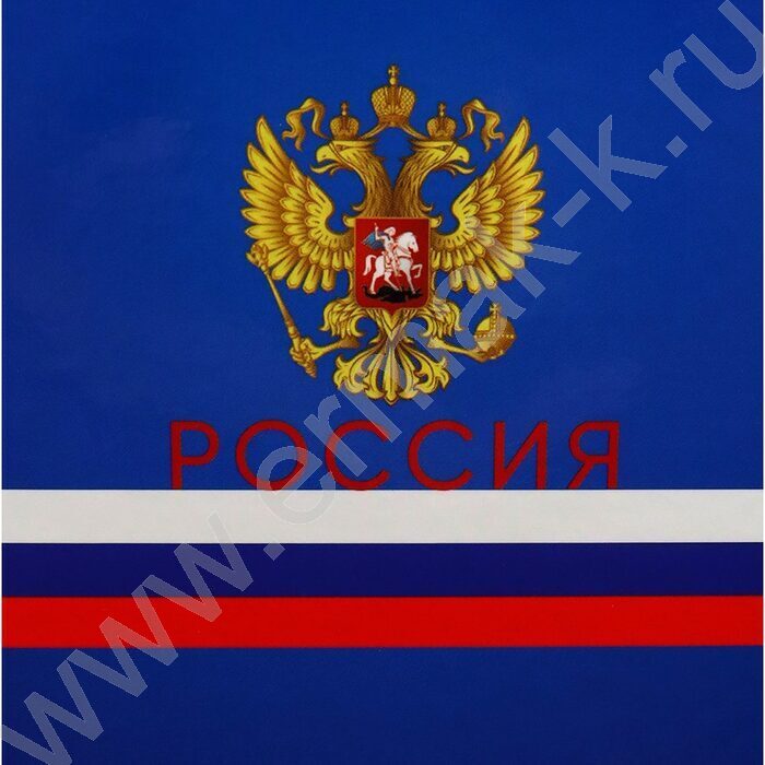 Ежедневник н/дат А5 128л Символы государства-1 /тв.обл.,глянц.ламин/ | Фото 8