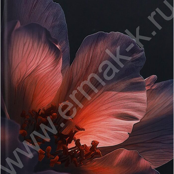 Ежедневник н/дат А5 128л Нежный цветок-3 /тв.обл.,софт-тач,лам/ | Фото 8