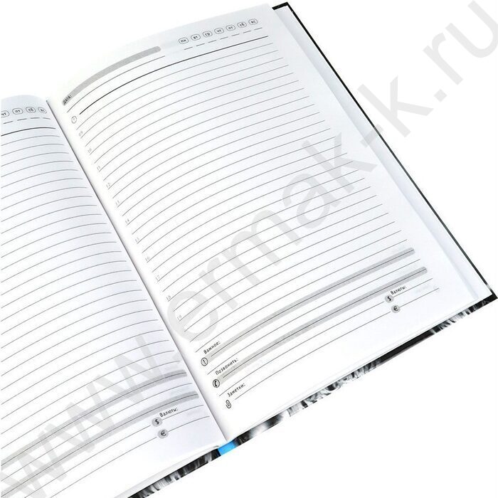 Ежедневник н/дат А5  80л Взгляд хищника-1 /тв.обл.,контраст/ | Фото 4