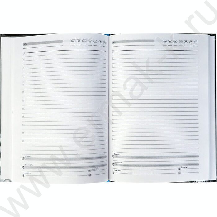 Ежедневник н/дат А5  80л Взгляд хищника-1 /тв.обл.,контраст/ | Фото 5