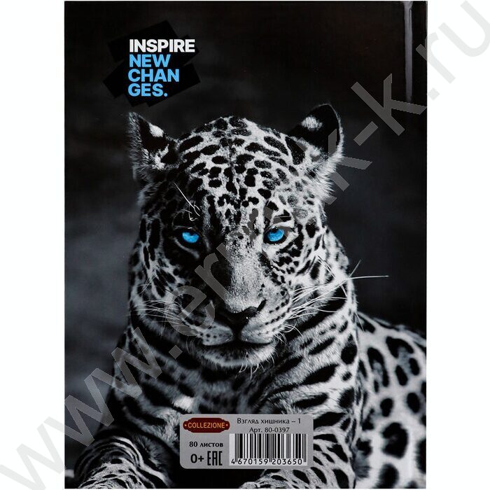 Ежедневник н/дат А5  80л Взгляд хищника-1 /тв.обл.,контраст/ | Фото 7