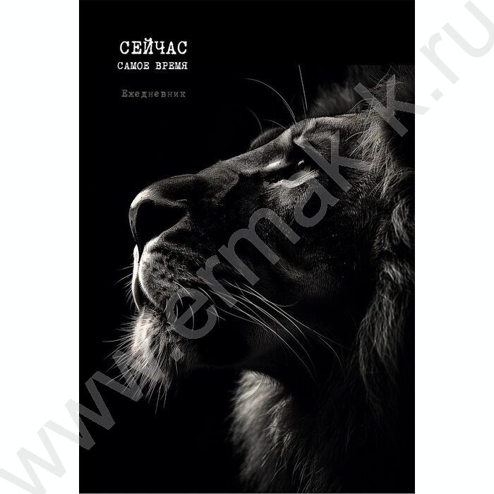 Ежедневник н/дат А5 128л Профиль льва /тв.обл.,матовая ламинация,выбороч. лак/ | Фото 1