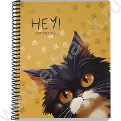 Тетрадь  96л клетка/спираль "Котики-1" /твин лак, хол. фольга/ ассорти | Фото 5
