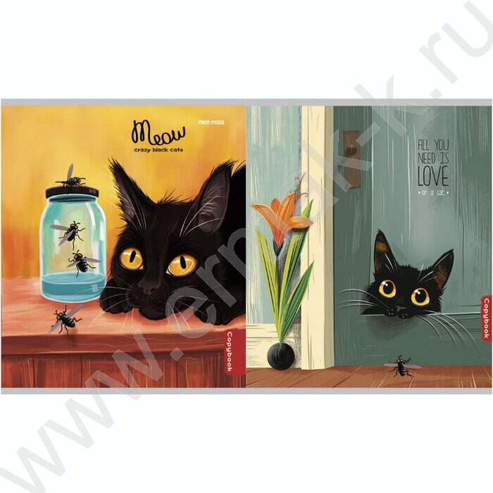 Тетрадь  96л клетка "Жизнь чёрных котиков" /перевертыши ассорти | Фото 4