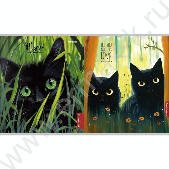 Тетрадь  96л клетка "Жизнь чёрных котиков" /перевертыши ассорти | Фото 5