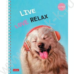 Тетрадь  48л клетка/спираль "Узнай себя!-(Lucia Heffernan)" 4вида | Фото 2