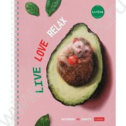 Тетрадь  48л клетка/спираль "Узнай себя!-(Lucia Heffernan)" 4вида | Фото 4