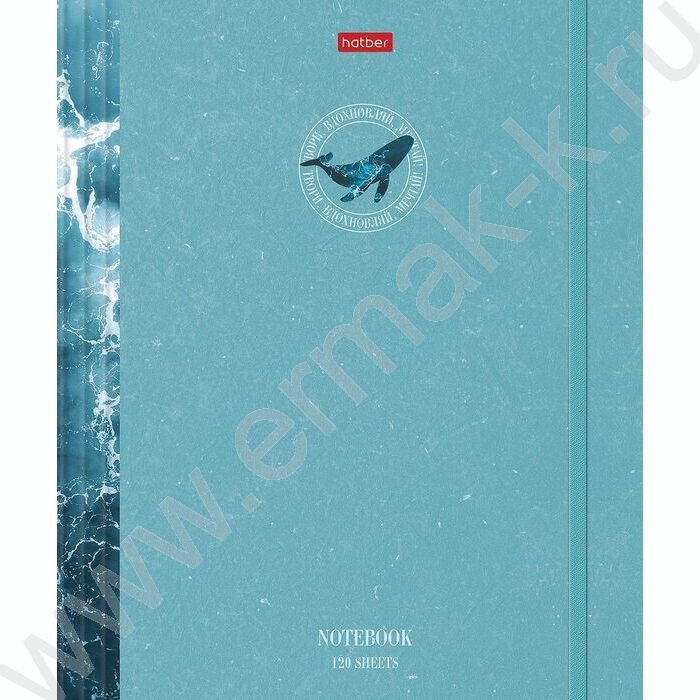 Тетрадь 120л клетка/кольца/резинка "Вдохновение вокруг" | Фото 1