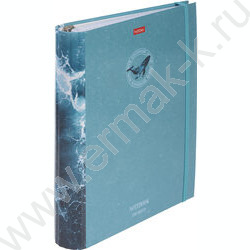 Тетрадь 120л клетка/кольца/резинка "Вдохновение вокруг" | Фото 2