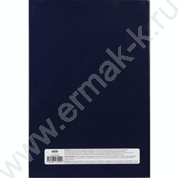 Книга Учёта 196л клетка тв.обл.офсет синяя | Фото 4