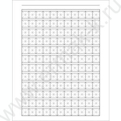 Тетрадь 48л А5 д/записи иероглифов "Золотые рыбки" | Фото 2