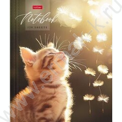 Тетрадь 120л клетка/кольца "Солнечный котик" /глянц.лам. | Фото 1