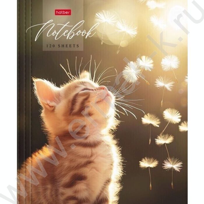 Тетрадь 120л клетка/кольца "Солнечный котик" /глянц.лам. | Фото 1