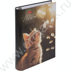 Тетрадь 120л клетка/кольца "Солнечный котик" /глянц.лам. | Фото 2