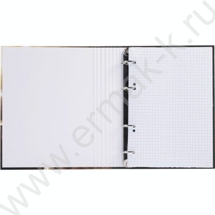 Тетрадь 120л клетка/кольца "Солнечный котик" /глянц.лам. | Фото 3