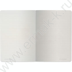 Тетрадь  40л линейка "Monocolor.Зефирный мятный" 70 г/м2 бежевая бумага | Фото 3