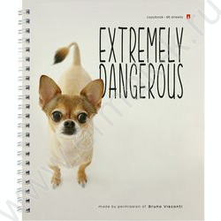 Тетрадь  96л клетка/спираль "Особо опасные собачки" ассорти | Фото 2