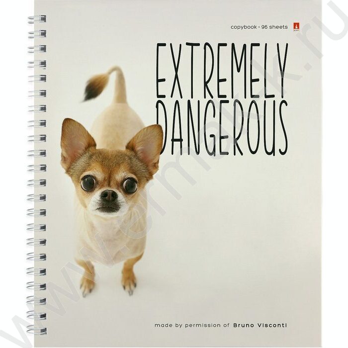 Тетрадь  96л клетка/спираль "Особо опасные собачки" ассорти | Фото 2