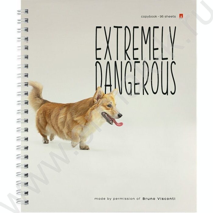 Тетрадь  96л клетка/спираль "Особо опасные собачки" ассорти | Фото 3