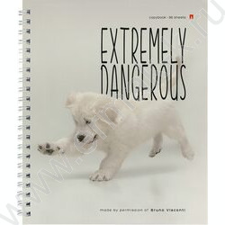 Тетрадь  96л клетка/спираль "Особо опасные собачки" ассорти | Фото 4